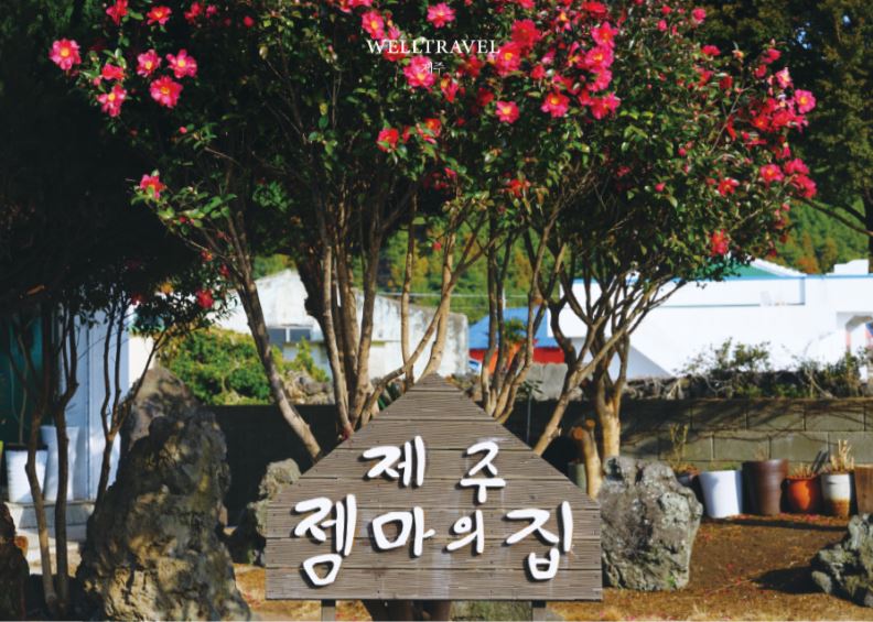제주달리